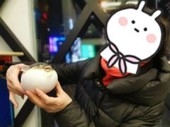 -肆月河豚·新淮扬(金融街店)