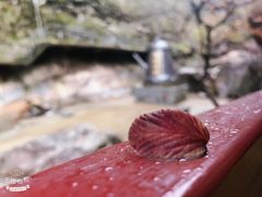 -太湖源风景区