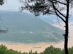 -铁山坪森林公园