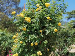 -国家植物园南园