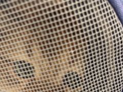 -艾吉宠物医院·疑难杂症转诊中心·猫友好(碧江路院)