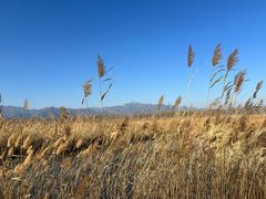 -野鸭湖国家湿地公园