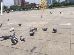 -大连人民广场