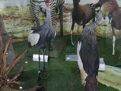 -郑州自然博物馆(惠济区)