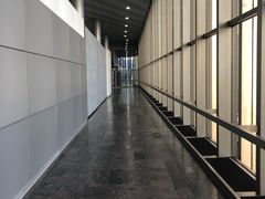 -谢列梅捷沃国际机场