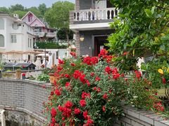 -杭州西湖风景名胜区-满觉陇四眼井