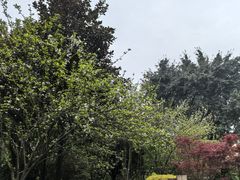 -龙头寺公园