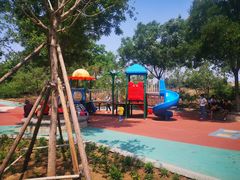 -大兴滨河森林公园