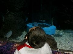 android_upload_pic-郑州海洋馆