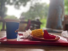 -Tangled Tree Tavern 老藤树食栈
