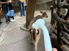 -长鹿旅游休博园