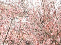 -汉中石门栈道景区