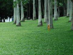 -人民公园(罗湖区)