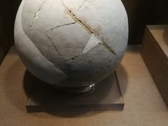 -烟台市博物馆