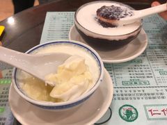 椰汁双皮奶-仁信老铺(华盖路店)