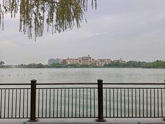 -迪士尼小镇