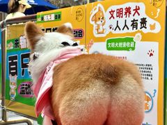 -新光里