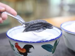 椰汁鸡屎藤-文昌邓记清补凉(西沙路店)