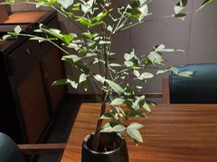 -王府茶楼茶宴·创意菜(大观园总店)