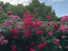 -上海科技馆(地铁站)