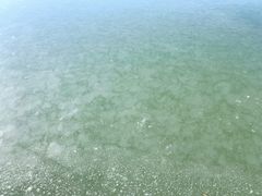 -天津东丽湖风景区