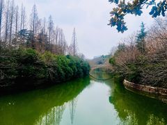 -春兰国宾馆(凤城河风景区老街店)
