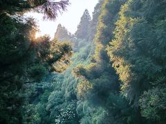 -南岳衡山风景名胜区