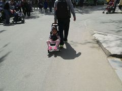 -石家庄市动物园