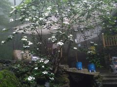 -藏龙百瀑风景区