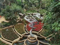 -南山植物园