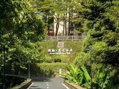 -莫干山风景区
