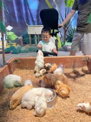 -酷嗒动物文化乐园(cutezoo西溪乐天城店)