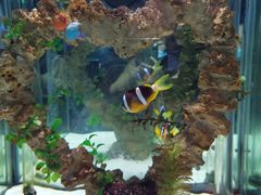 -太平洋海底世界