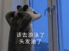 -奥冠体育华师附中恒温游泳馆