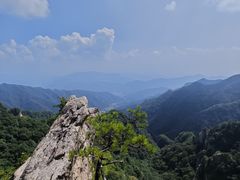 -王顺山国家森林公园