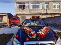 -蚂蚁婚车