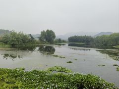 -鸣鹤古镇