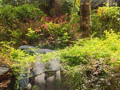 -四海轩(珠海海泉湾店)