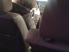 -无忧学车·大众驾校(长宁校区)