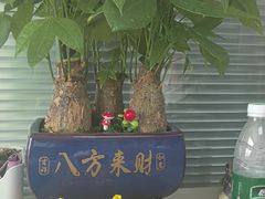 -金蚁康•经络调理•肩颈按摩(三山街店)