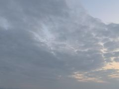 -深圳湾公园(南山区)