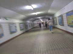 -金州站