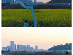 -光明小镇欢乐田园
