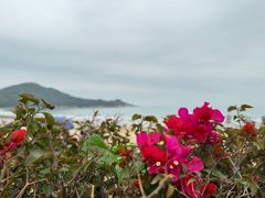 -青澳湾北回归线广场