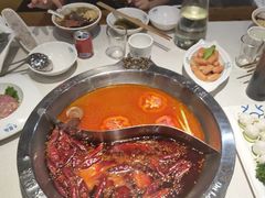 -龙继斑鱼庄(犀浦店)