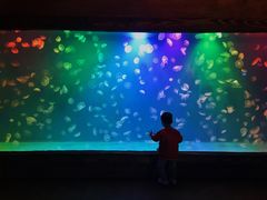 -华夏文旅海洋公园