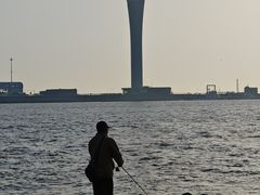 -吴淞炮台湾湿地森林公园烧烤区