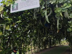 -中国天府农业博览园