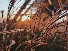 -中国天府农业博览园