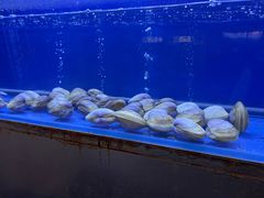 -白仁仔· 活烤海鲜 宵夜(豫园店)